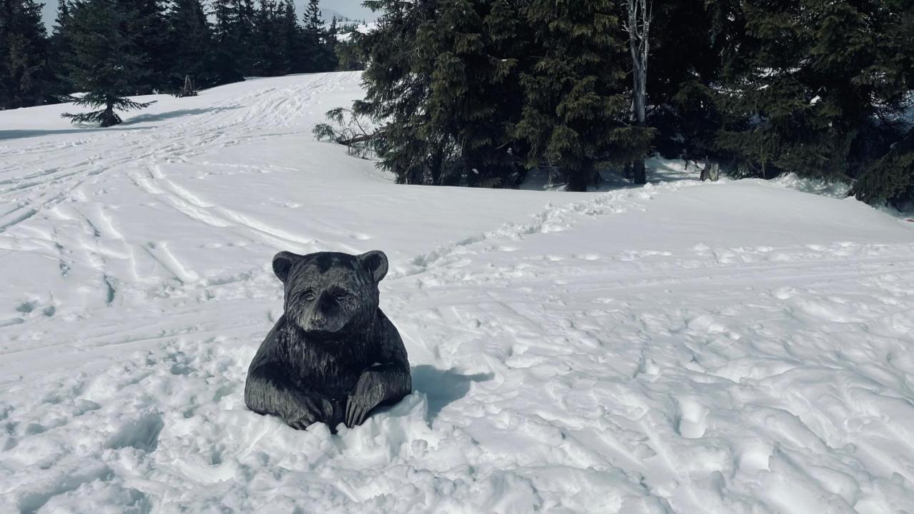 Chata Pod Horama Benecko Dış mekan fotoğraf